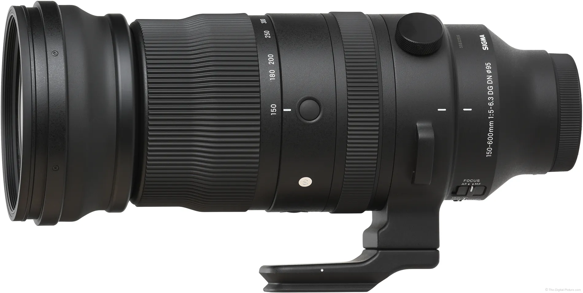 Sigma 150-600mm f/5-6.3 DG DN OS Sports Lens Review