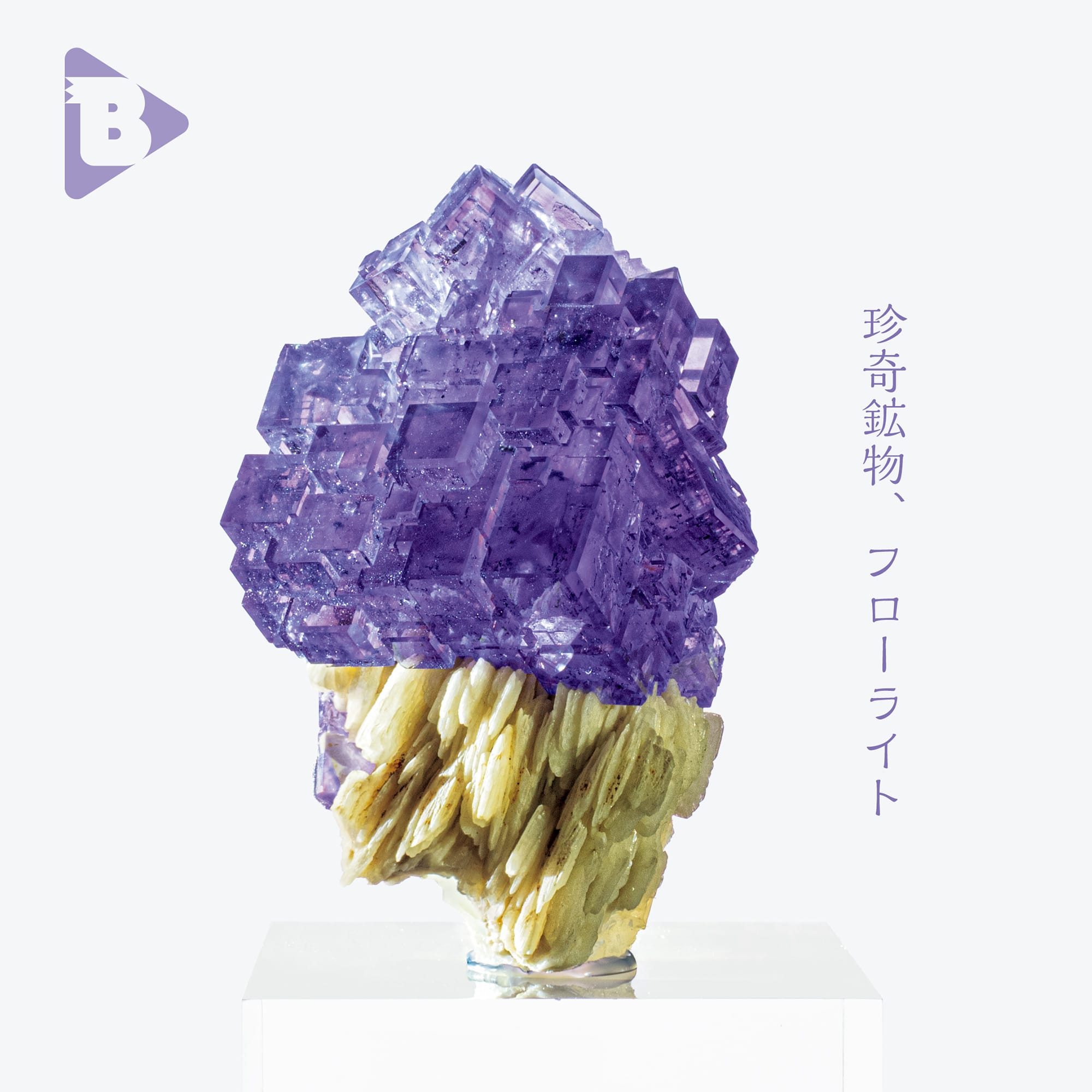 フローライトとヘマタイトの鉱物コレクション フローライトと