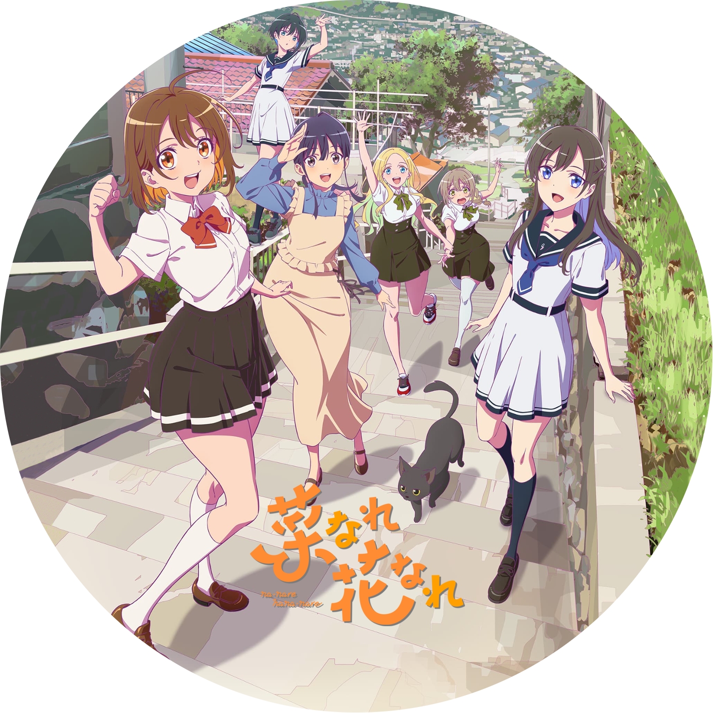 菜なれ花なれ ” の DVDラベルです | meechanmama(みーちゃんママ)の部屋