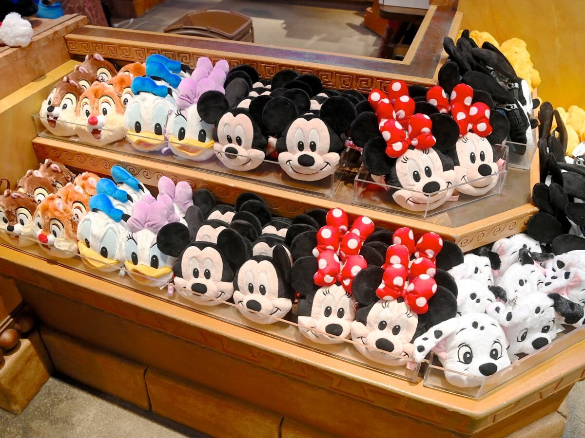 東京ディズニーランド“2021”パスケース・お土産まとめ -