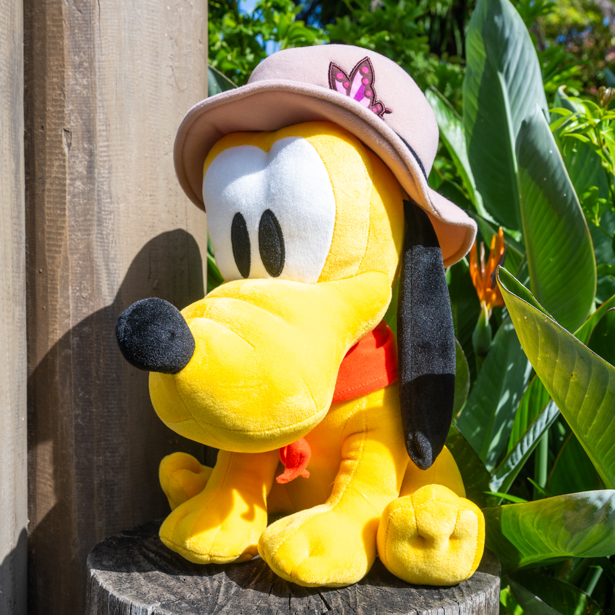 探検家帽子を被ったプルートのぬいぐるみ！東京ディズニーランド