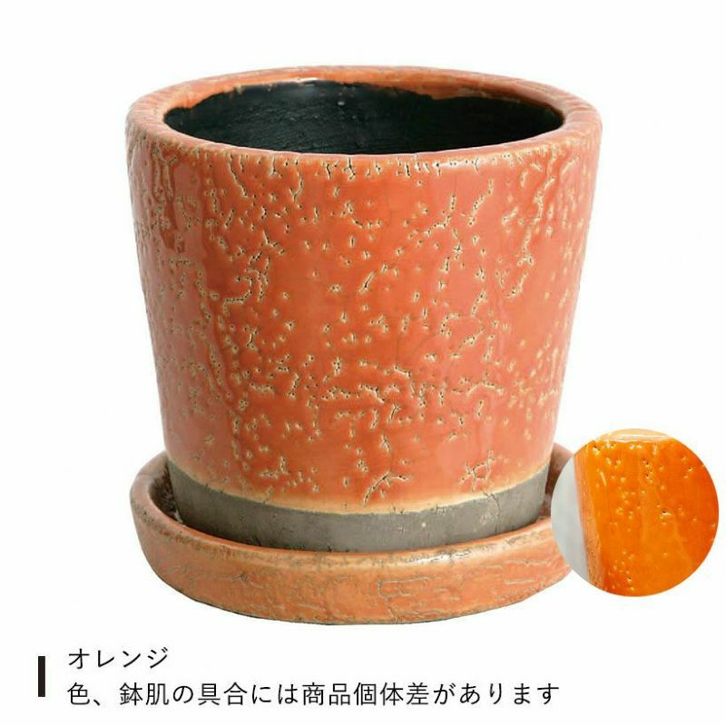9色から選べる！貫入加工のカラー陶器鉢｜2.5サイズ植物の植替えに