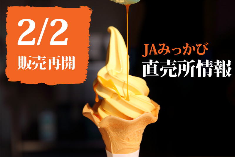 News&Topics｜【直売所情報】～大人気商品「三ヶ日みかんソフト