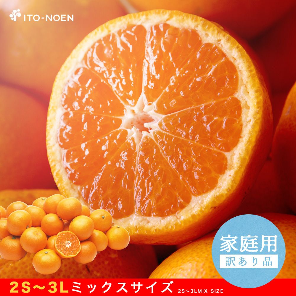 000000000156-01-xl.jpg?t=