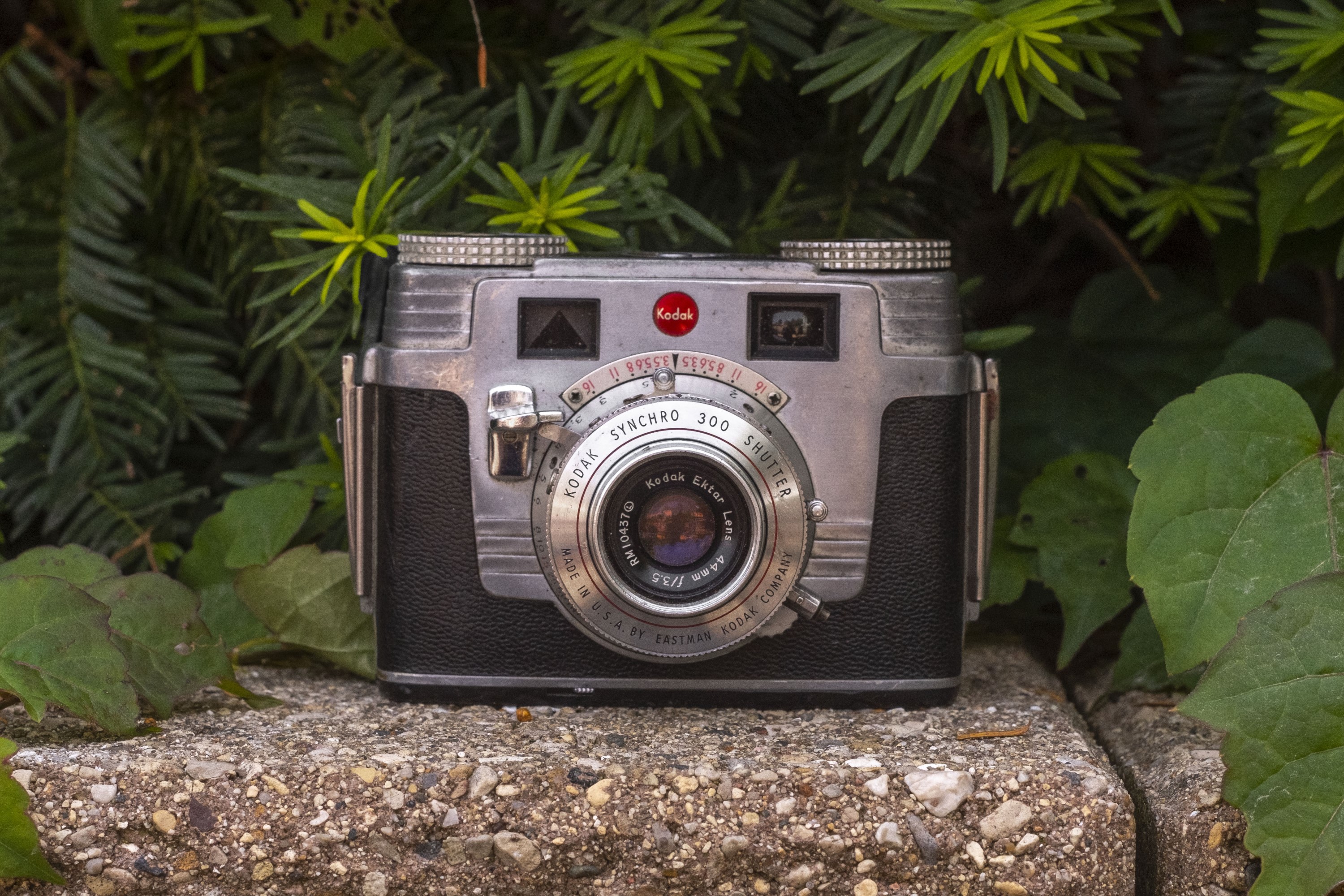 Keppler's Vault 43: Kodak Signet 35 - mike eckman dot com