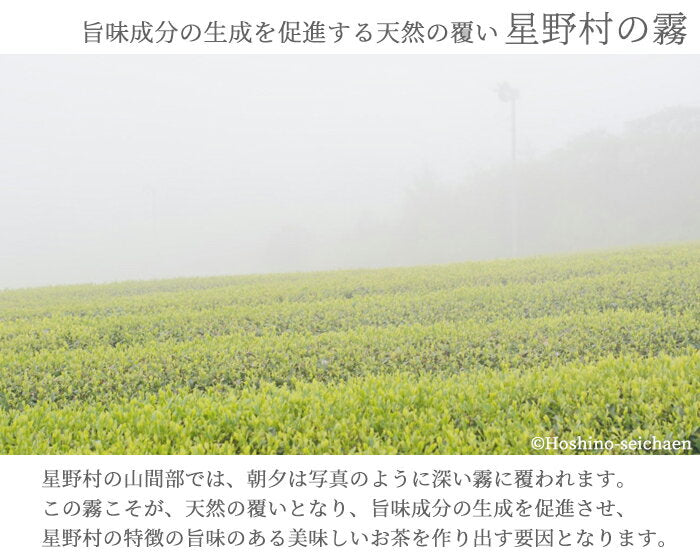 Hoshino Seichaen ( Hoshi no Tsuyu- 星の露) 20g/40g – Misora Yamamoto