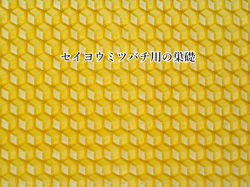 巣枠（ホ式）10枚セット 完成品・巣礎付き - モカメル（公式）