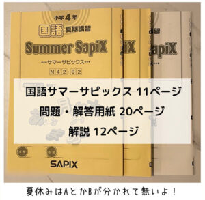 サピックス(SAPIX)夏期講習プリント量・内容 4年｜中学受験 - kirin の
