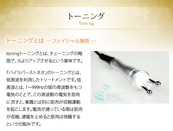 パイラバーストネオ ラジオ波 プローブ ヘッド パイラバーストネオ