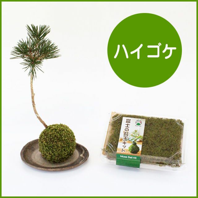 苔のキットシリーズ | 苔の販売専門店モスファーム