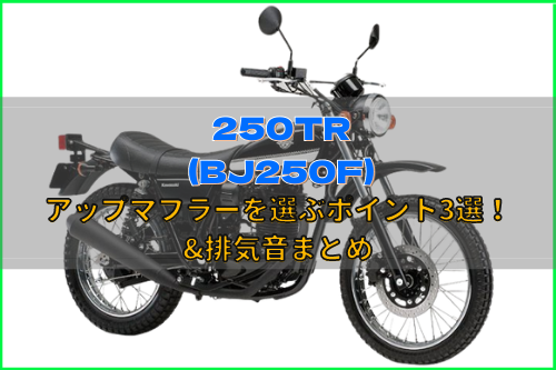 人と被らない！250TRアップマフラーの選び方！おすすめ品を一挙公開