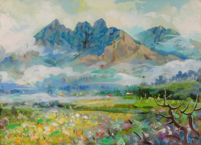 阿蘇の絵画を油絵で描いた谷田穎郎の阿蘇の風景画の絵「根子岳」を通販