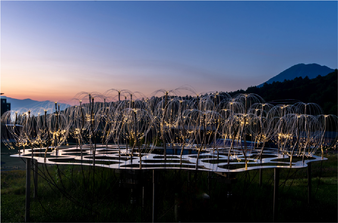 shop | Mountain Lights | マウンテンライツ 光のアート