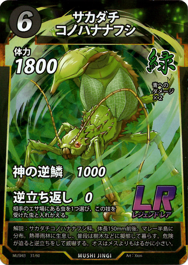 蟲神器】サカダチコノハナナフシ(LR)の詳細【昆虫カード図鑑】