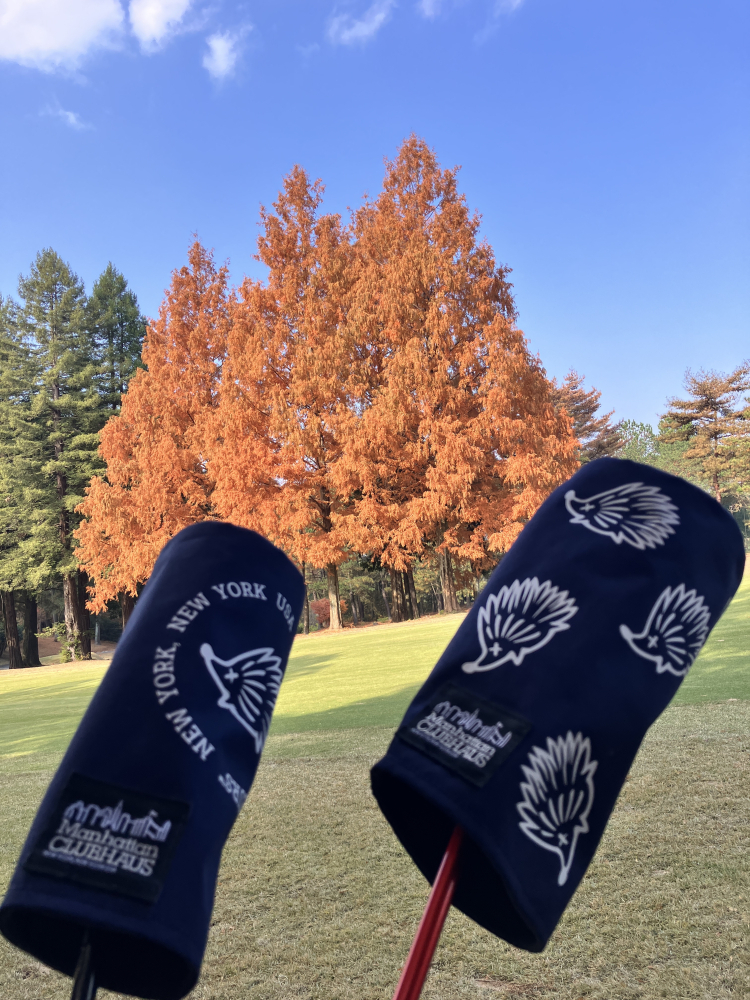 REVE／／Raver Armored Ready 60／70の口コミ評価｜ゴルフクラブ・ギア