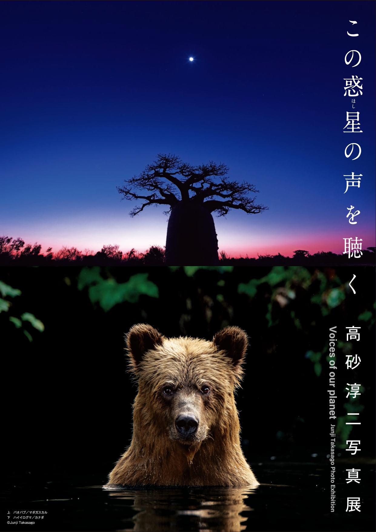 写真家・高砂淳二氏の写真展「この惑星（ほし）の声を聴く」開催のご