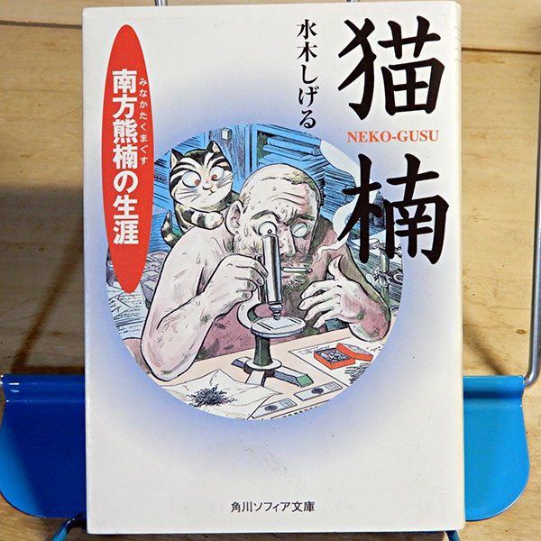 水木しげる『猫楠 南方熊楠の生涯』 | 猫好きが読んだ千冊の本