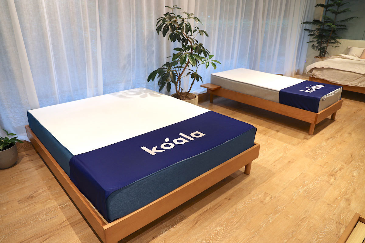 あの#ワイングラスチャレンジの「コアラ」が新作ベッドフレームと