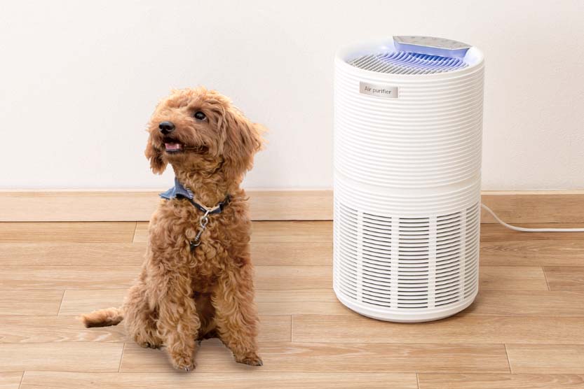 ニトリ、エディオンと共同開発したペット家電 第一弾はグルーミングと