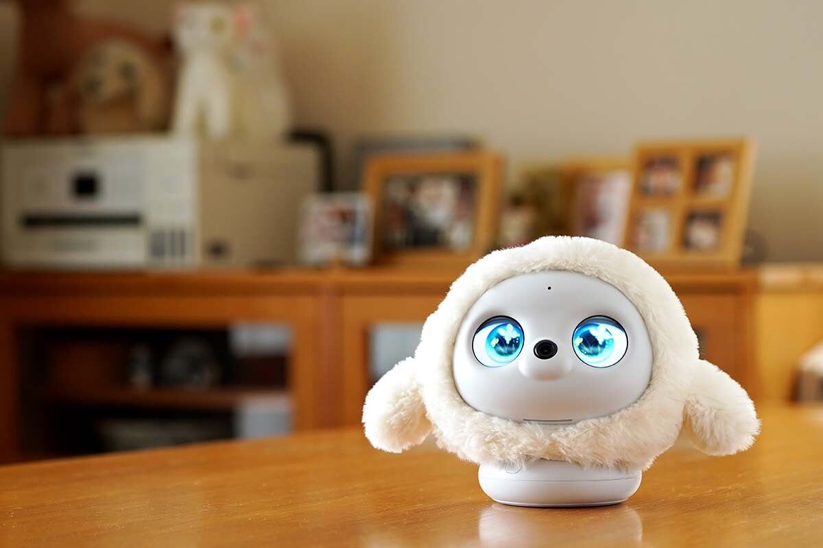 AI搭載ペットロボット「lopeto」レビュー 表情豊か、温もりも感じ