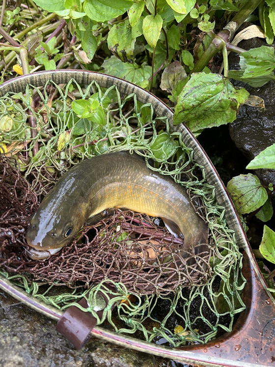 シンプリー｜ニュース（総合ブログ） ｜Casket カスケット