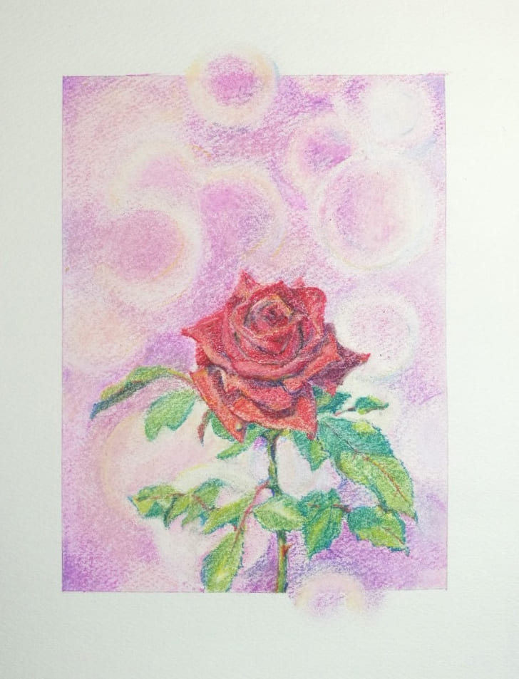 薔薇の描き方/一凛の赤いバラをパステル色鉛筆とソフトパステルで描く