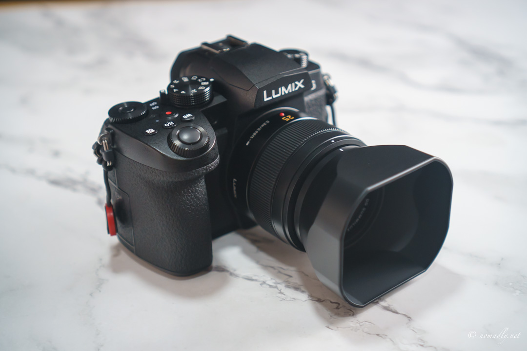 LUMIX G99 半年使用レビュー】動画性能の限界とマイクロフォーサーズの