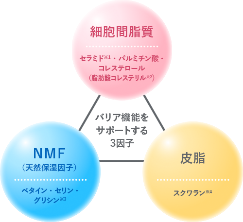 乾燥肌・敏感肌・低刺激性スキンケアのバリアコンセントレイト(保湿