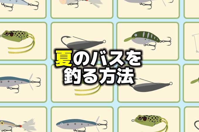 夏のバスを釣る方法：リザーバー＆ナチュラルレイク | バス釣りを学