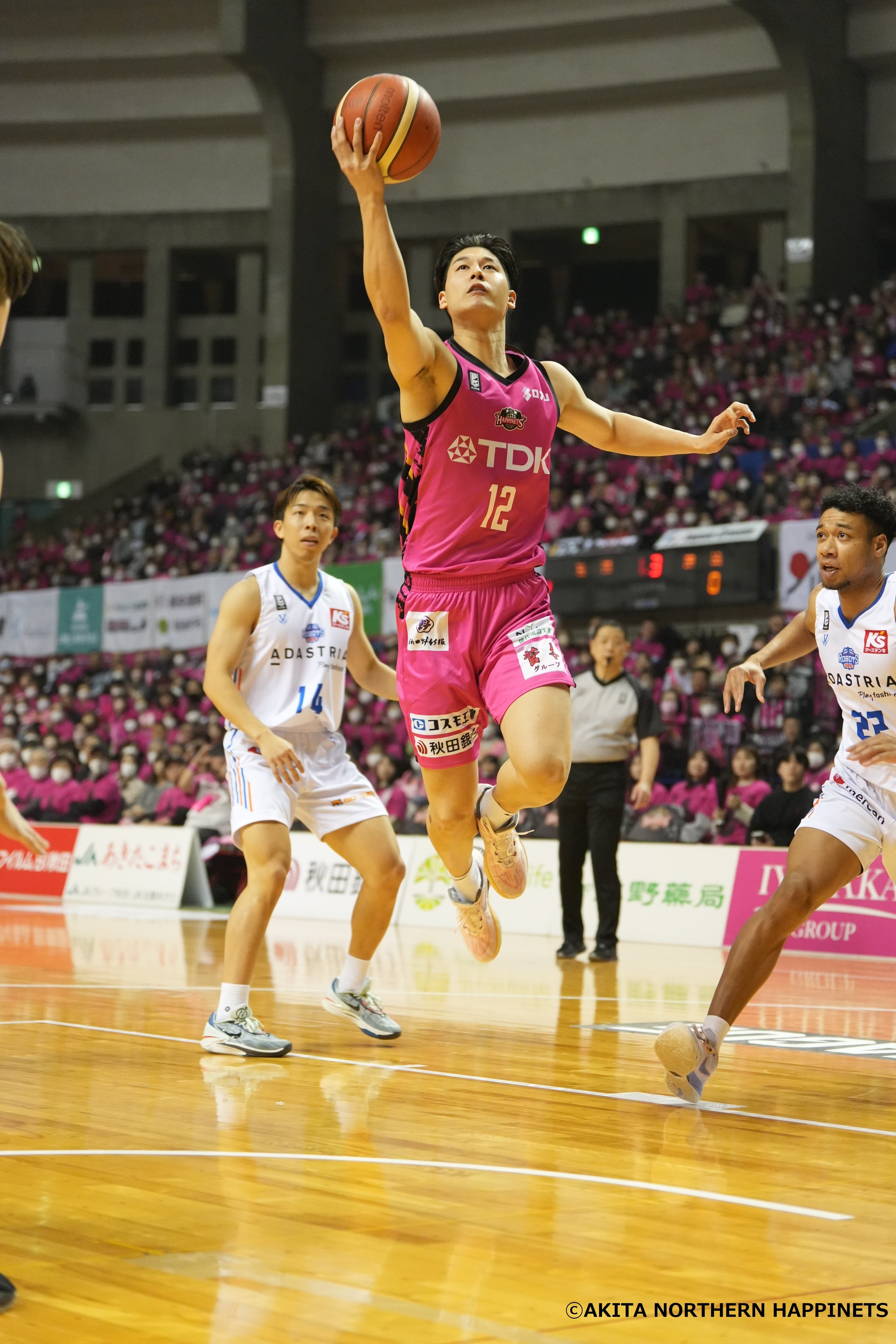 継続】元田大陽選手契約合意のお知らせ | 秋田ノーザンハピネッツ