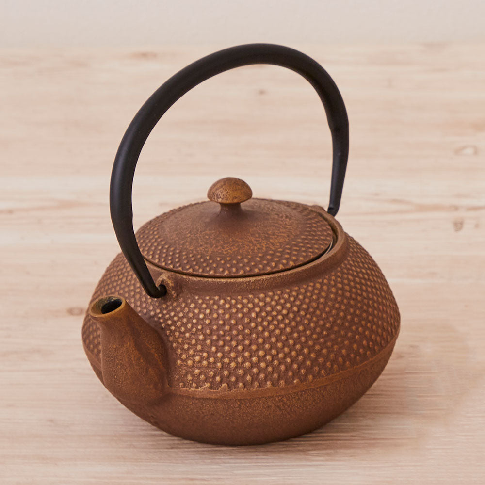 南部鉄器 急須 アラレ 0.4L 5種 ｜のレン神楽坂【公式通販】発酵