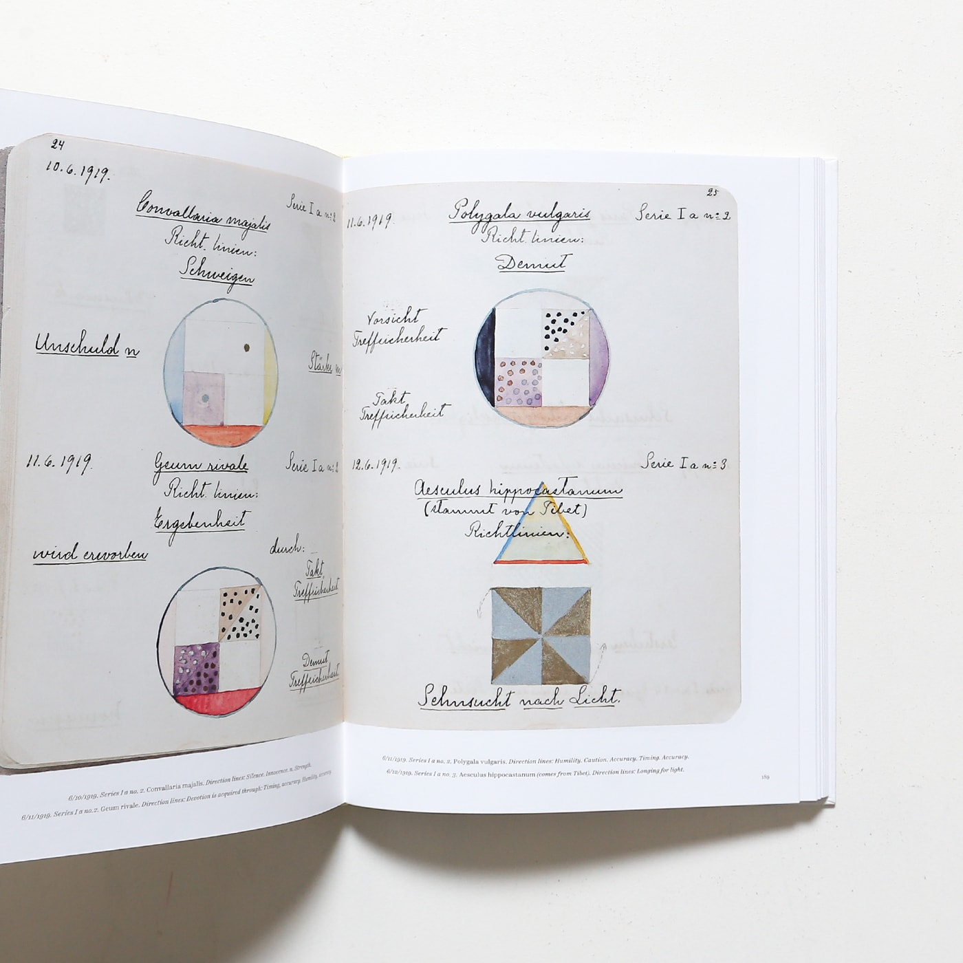Hilma af Klint: Notes and Methods | ヒルマ・アフ・クリント画集