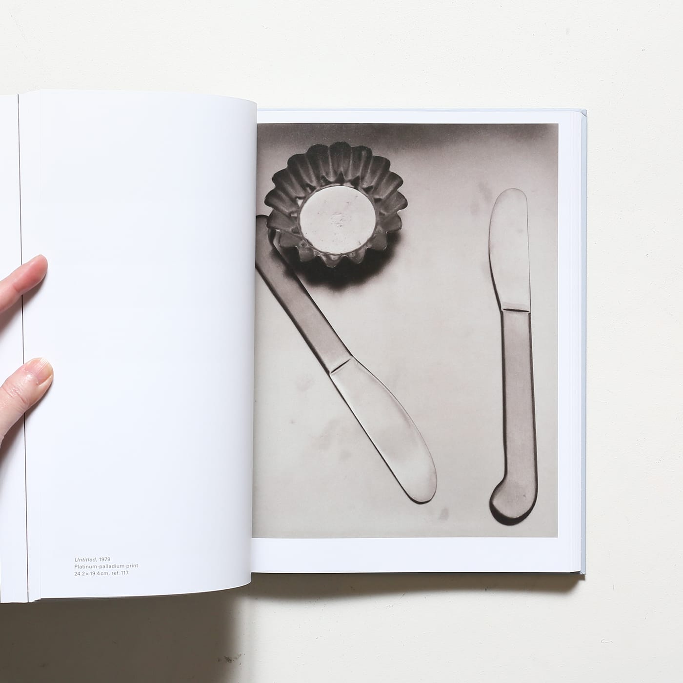 Jan Groover, Photographer: Laboratory of Forms | ヤン・グルーバー