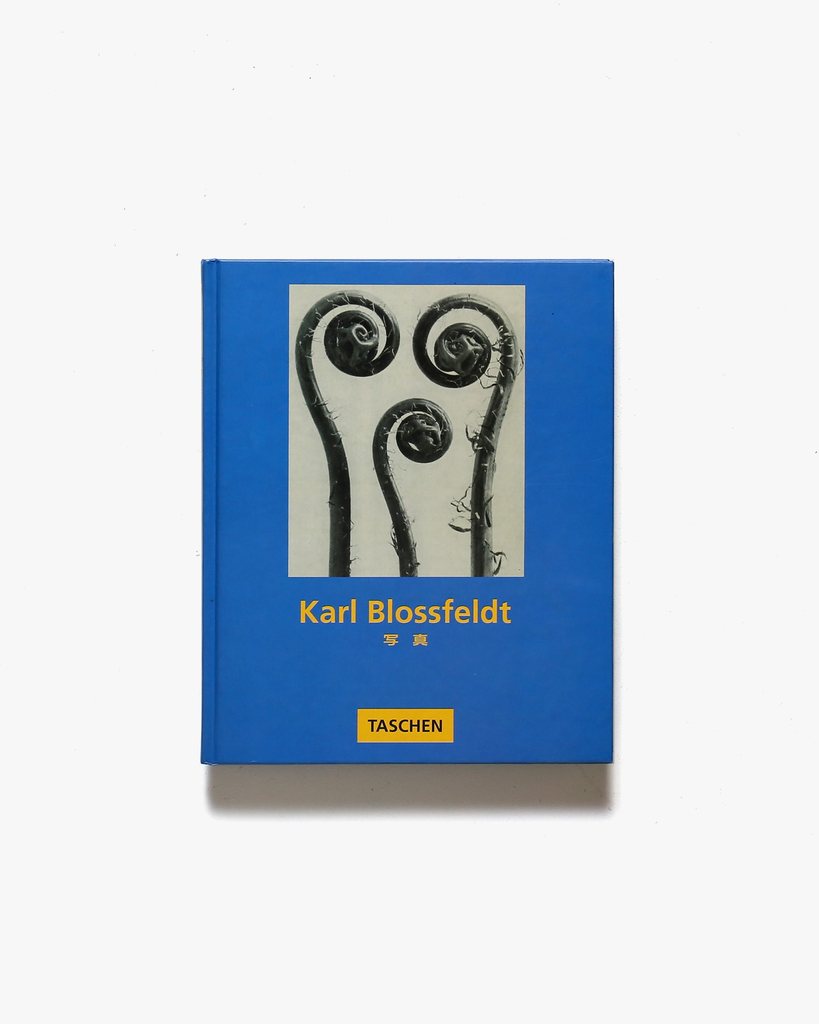 Karl Blossfeldt 写真 | カール・ブロスフェルト | nostos books
