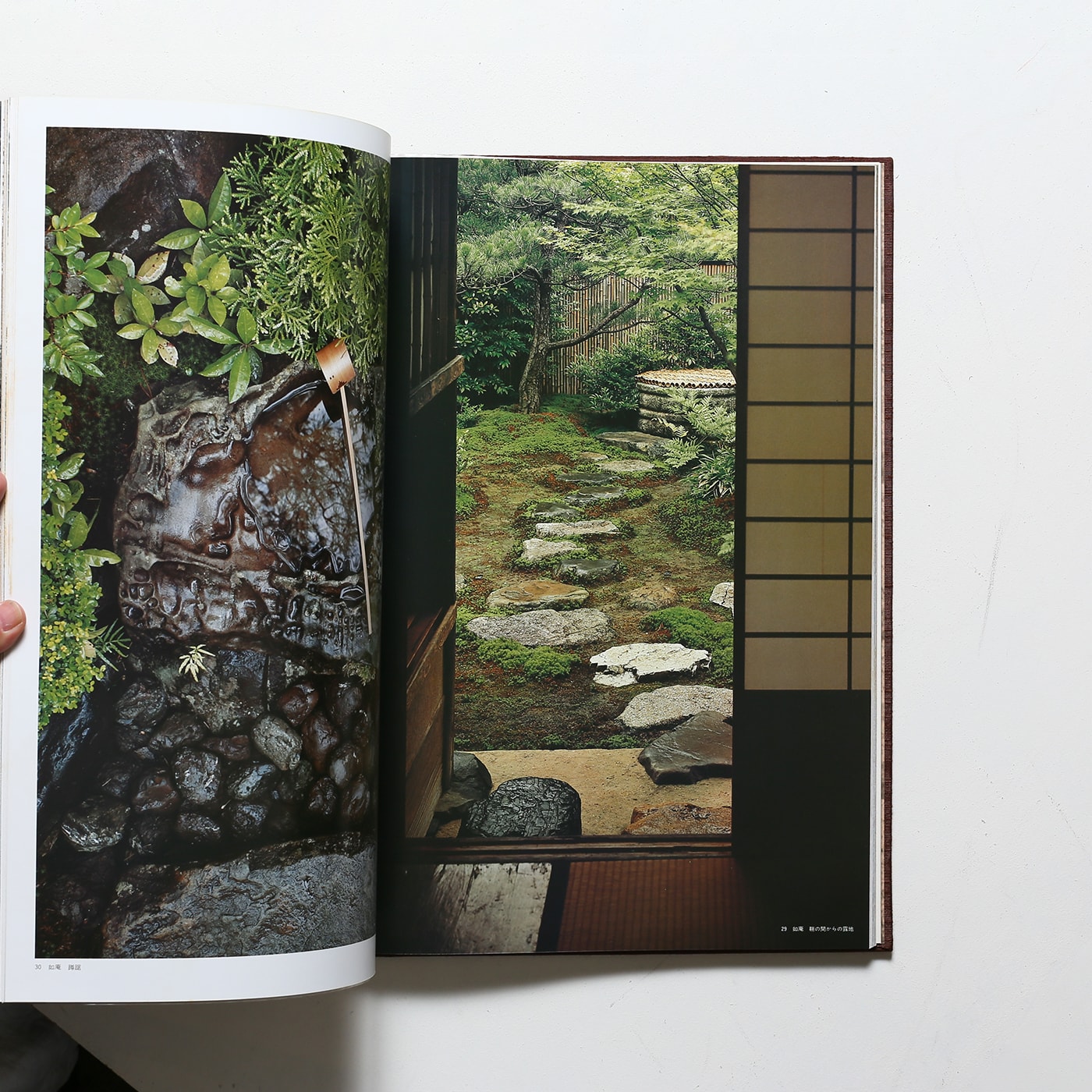 数寄屋 建築と庭園 | 恒成一訓、伊藤ていじ、横山正 | nostos books