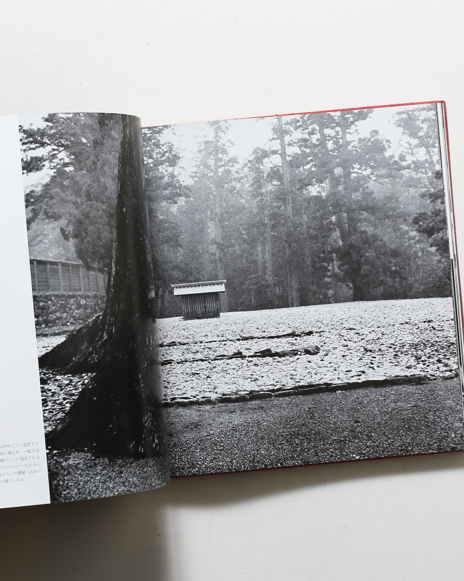 伊勢 日本建築の原形 | 丹下健三、川添登、渡辺義雄 | nostos books