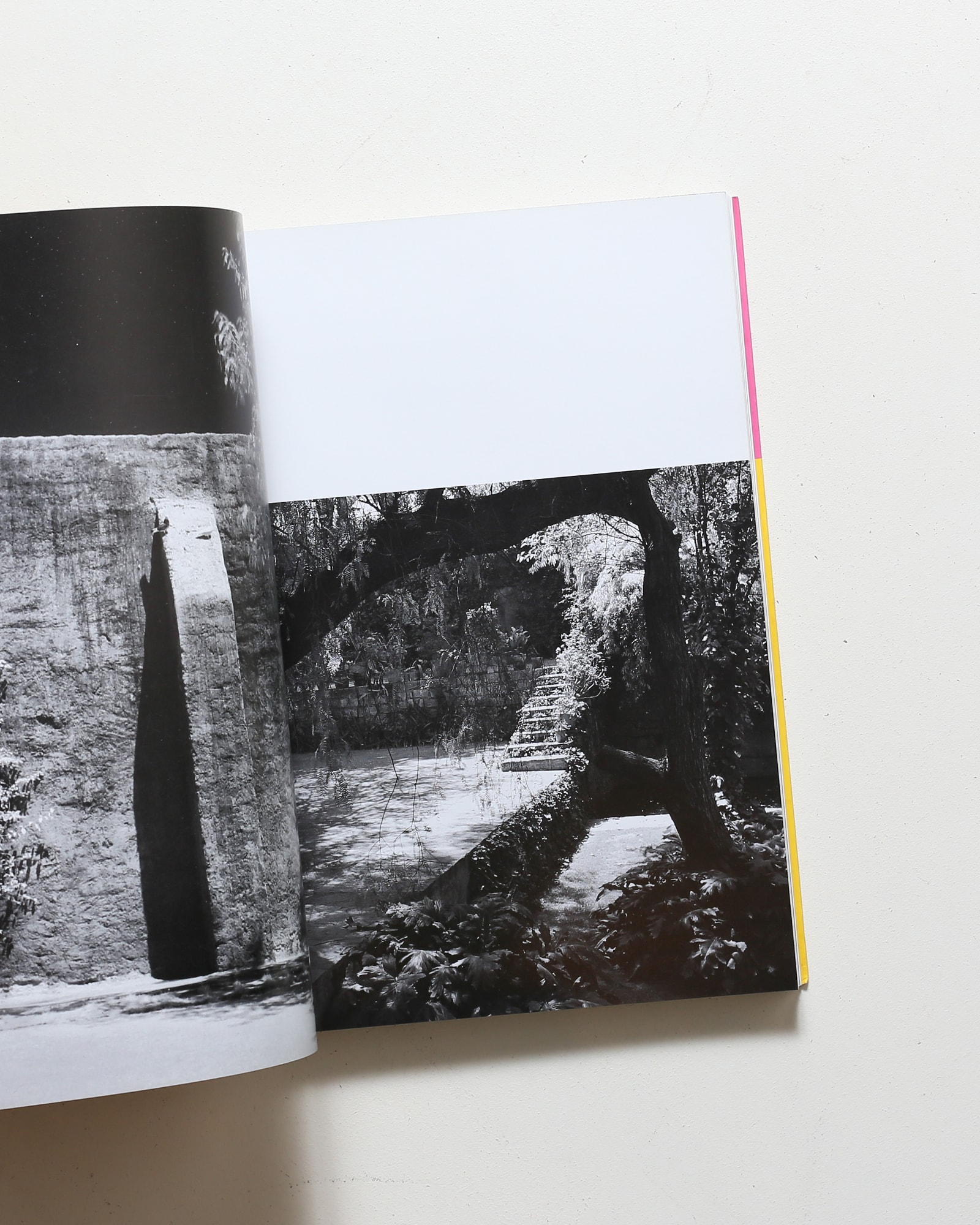 ルイス・バラガン 静かなる革命 | 東京都現代美術館 | nostos books