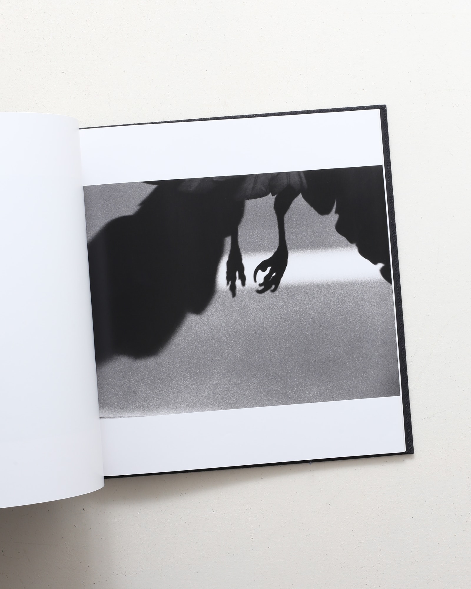 鴉 Ravens | 深瀬昌久 | nostos books ノストスブックス