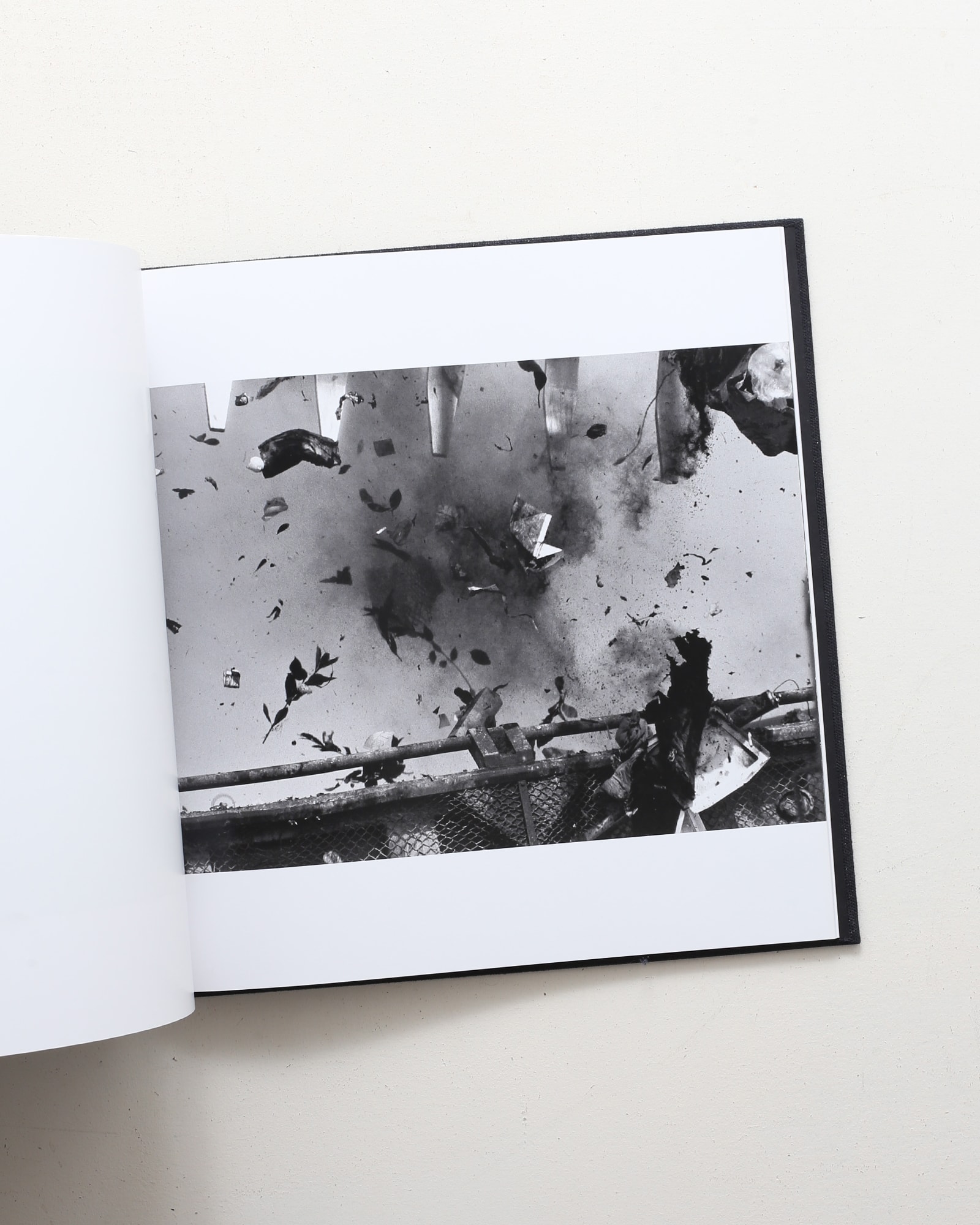 鴉 Ravens | 深瀬昌久 | nostos books ノストスブックス