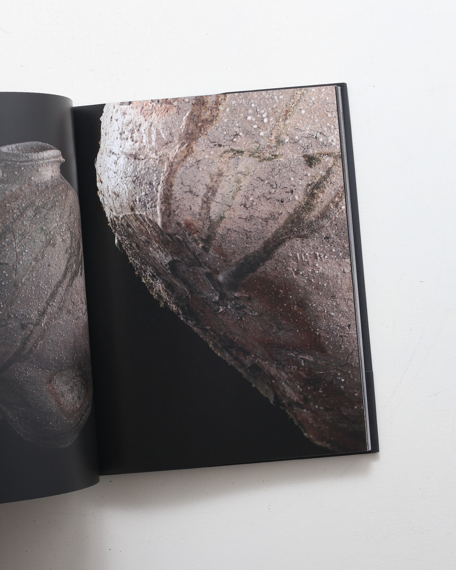 辻村史朗 Shiro Tsujimura | nostos books ノストスブックス