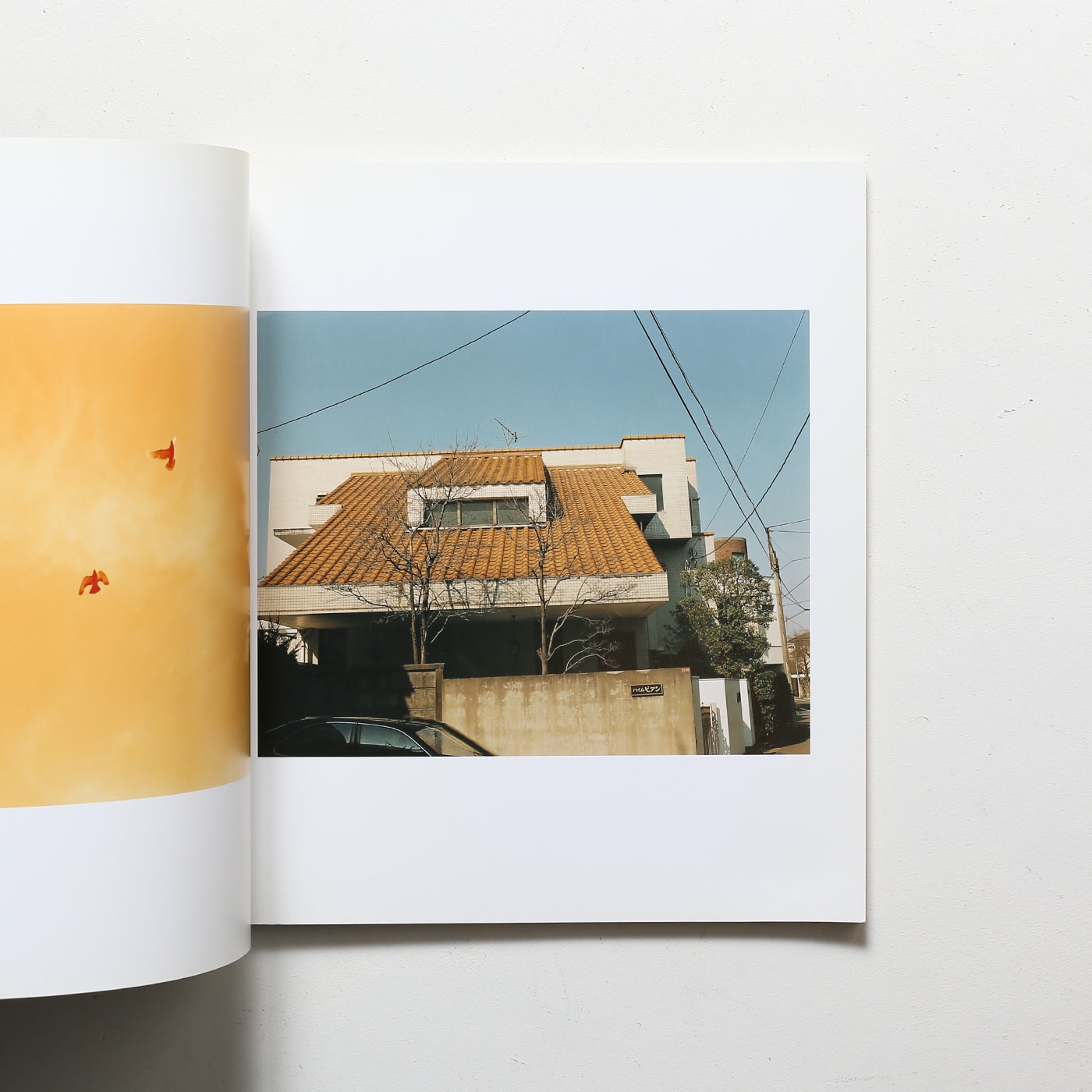 生きている | 佐内正史 | nostos books ノストスブックス