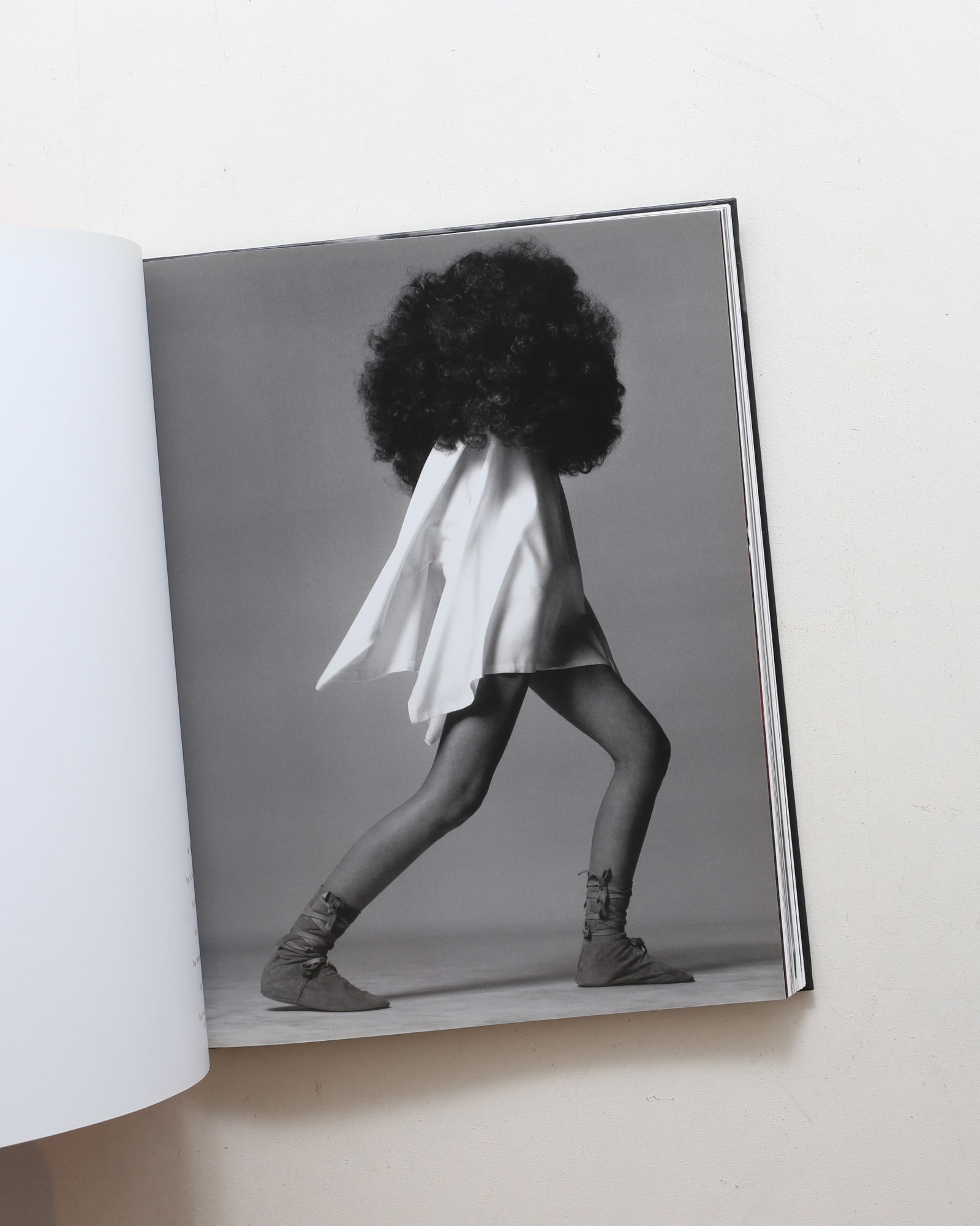 Avedon Fashion 1944-2000 | nostos books ノストスブックス