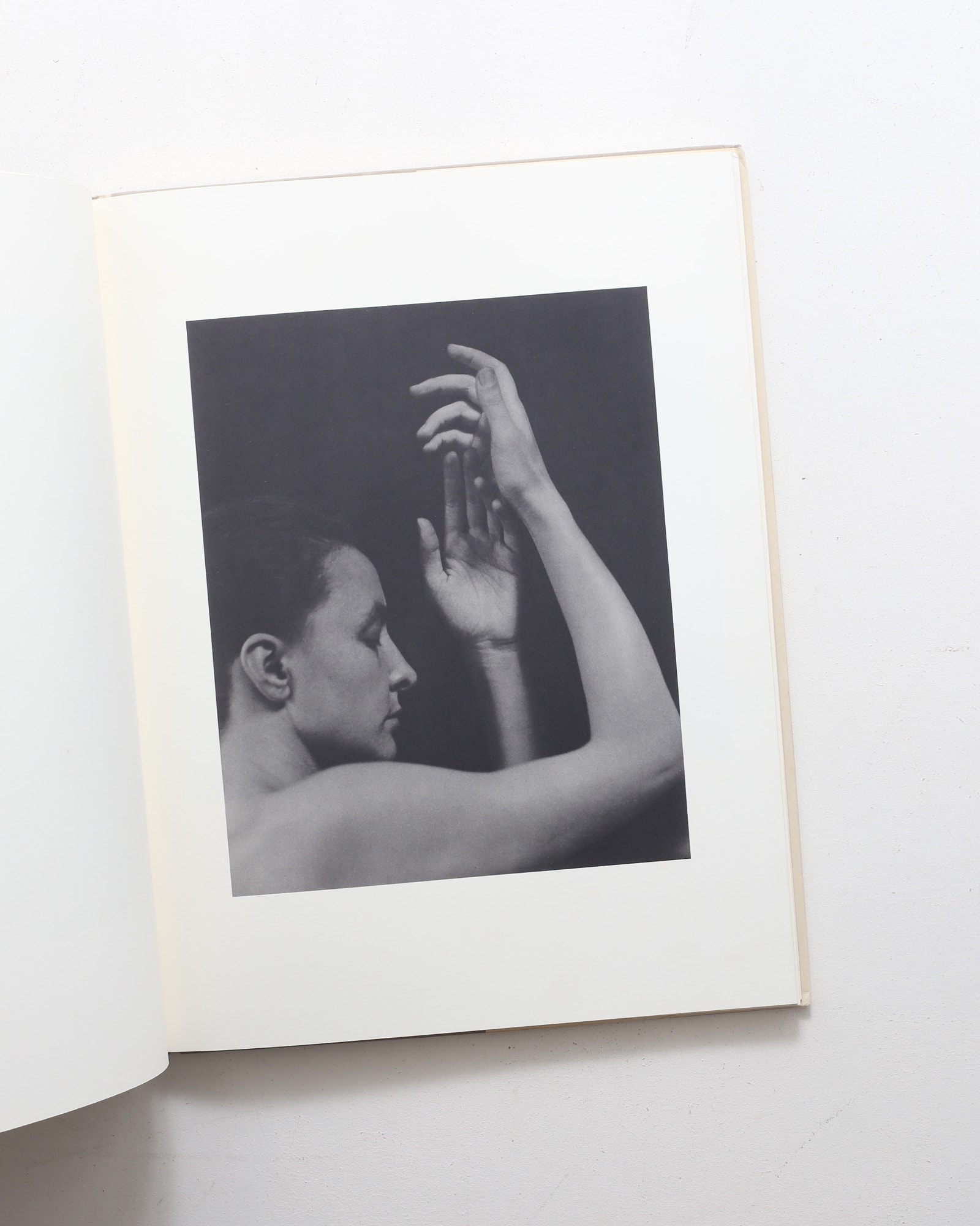 Georgia O'Keeffe: A Portrait | Alfred Stieglitz | nostos books