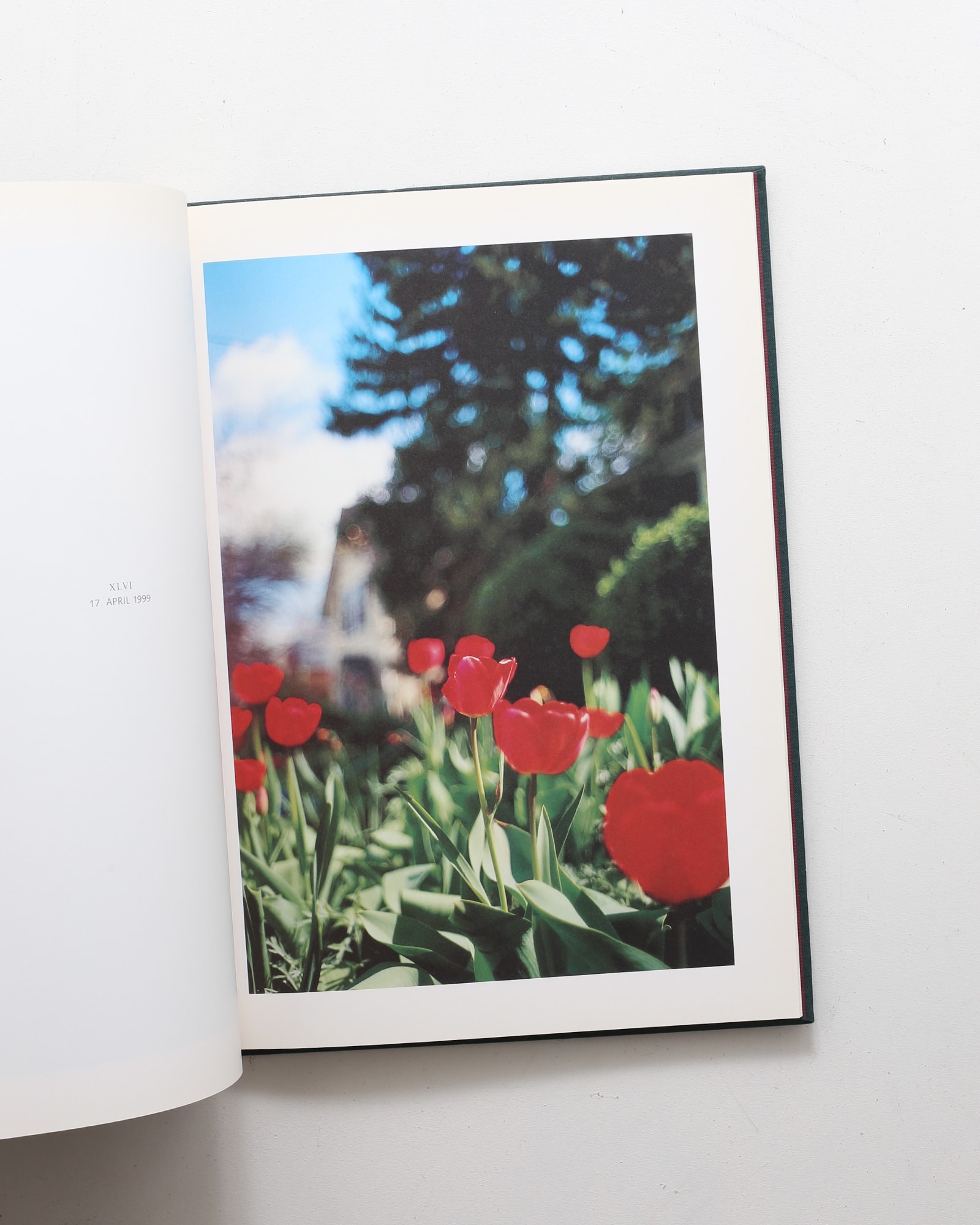 Hunter Green | Terri Weifenbach テリ・ワイフェンバック | nostos