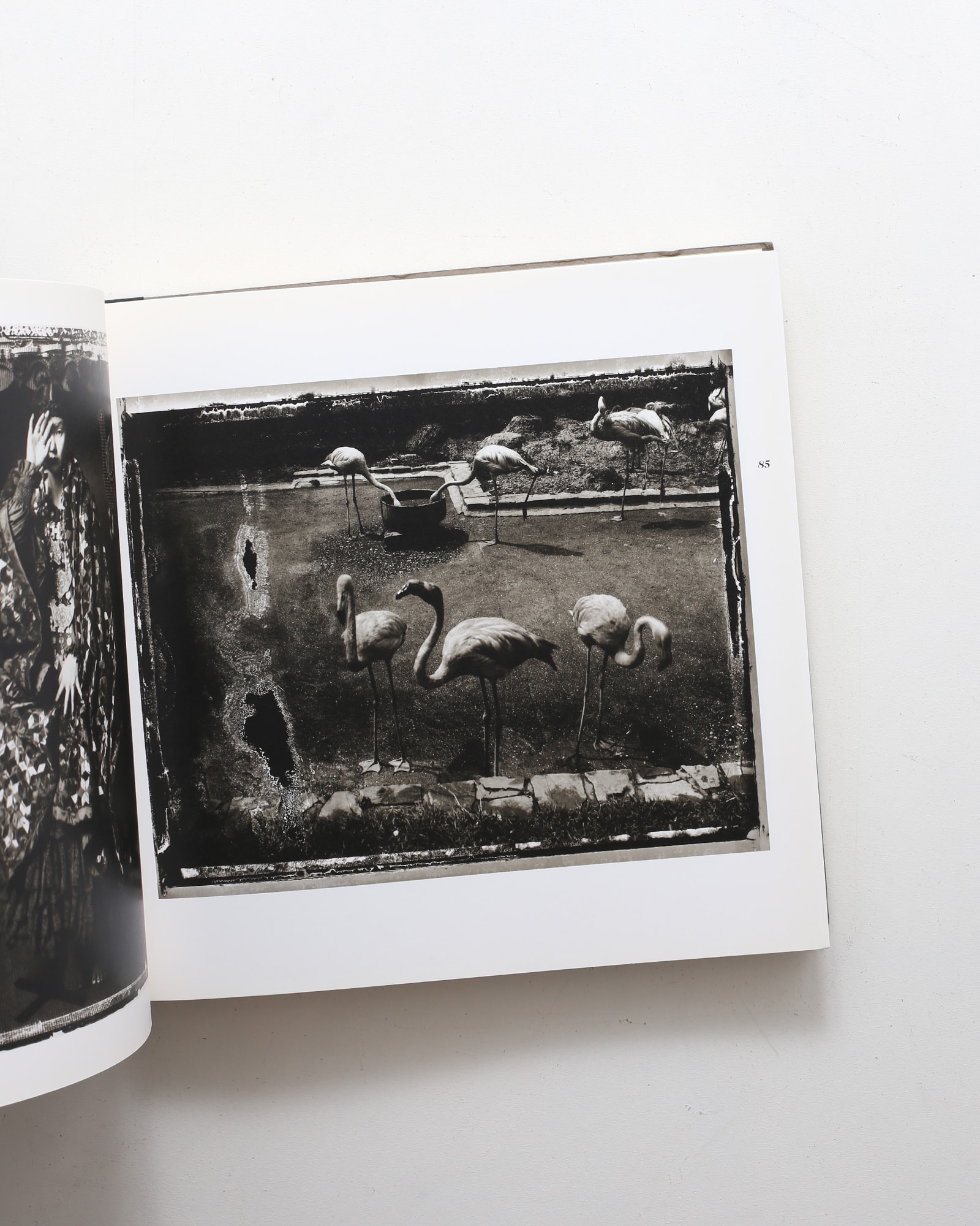 Coincidences | Sarah Moon サラ・ムーン | nostos books ノストスブックス