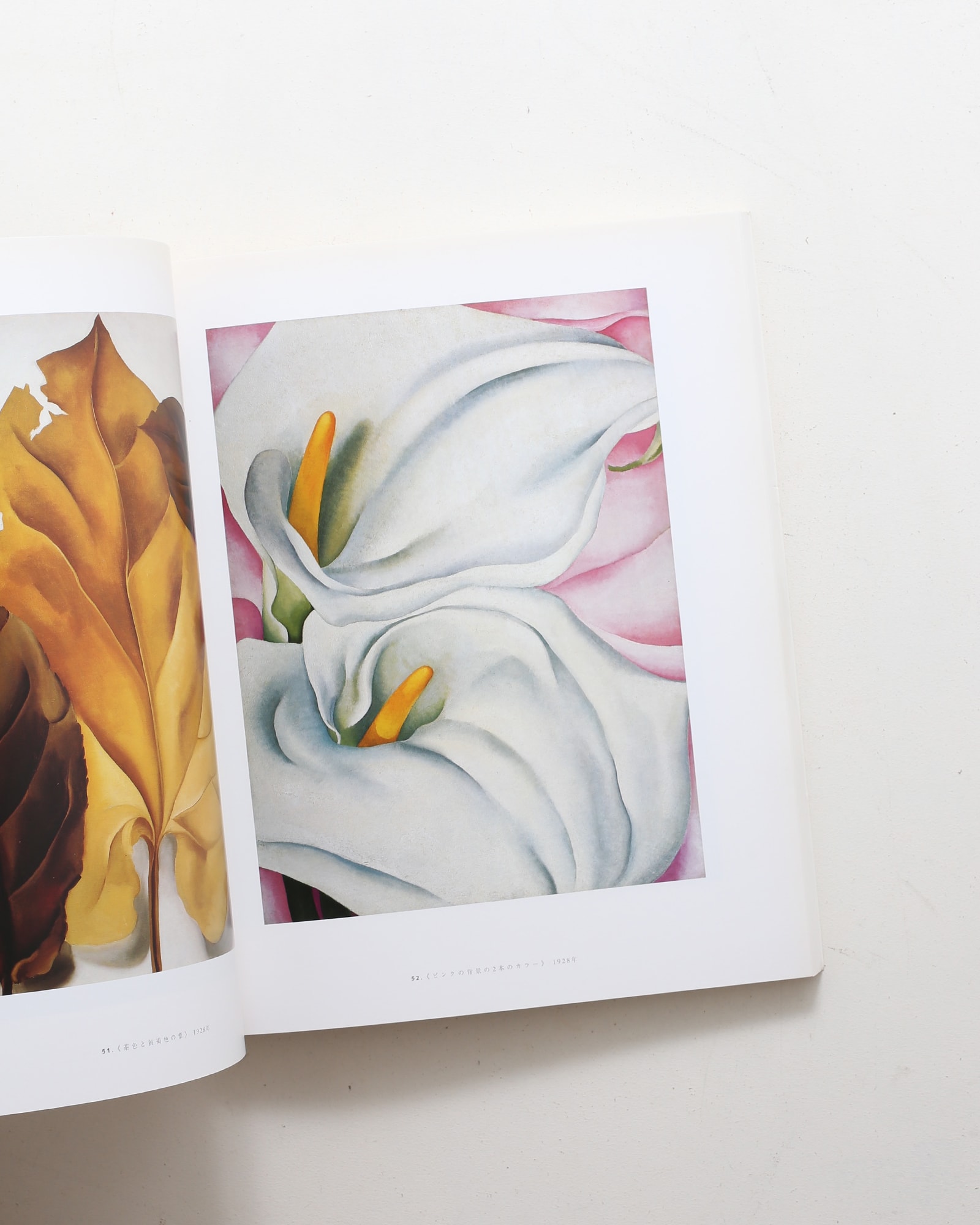 ジョージア・オキーフ アメリカン＆モダン | nostos books ノストス