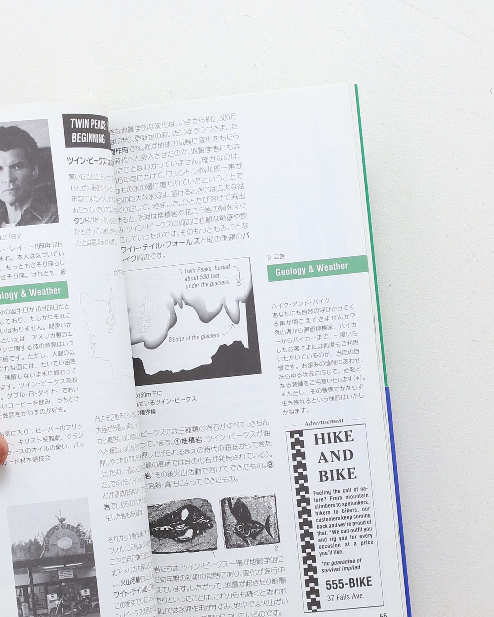 ツイン・ピークスの歩き方 | デヴィッド リンチ ほか | nostos books