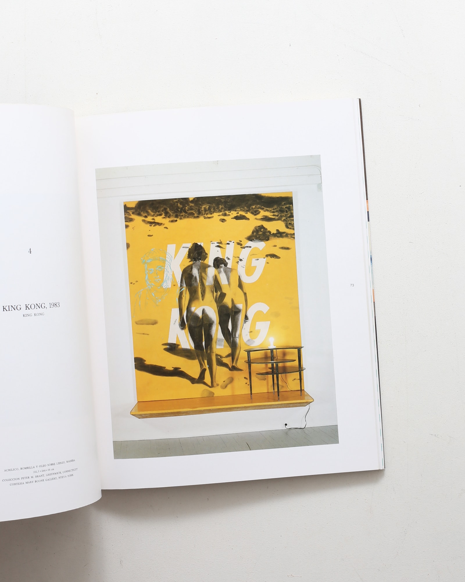 David Salle | デヴィッド・サーレ | nostos books ノストスブックス