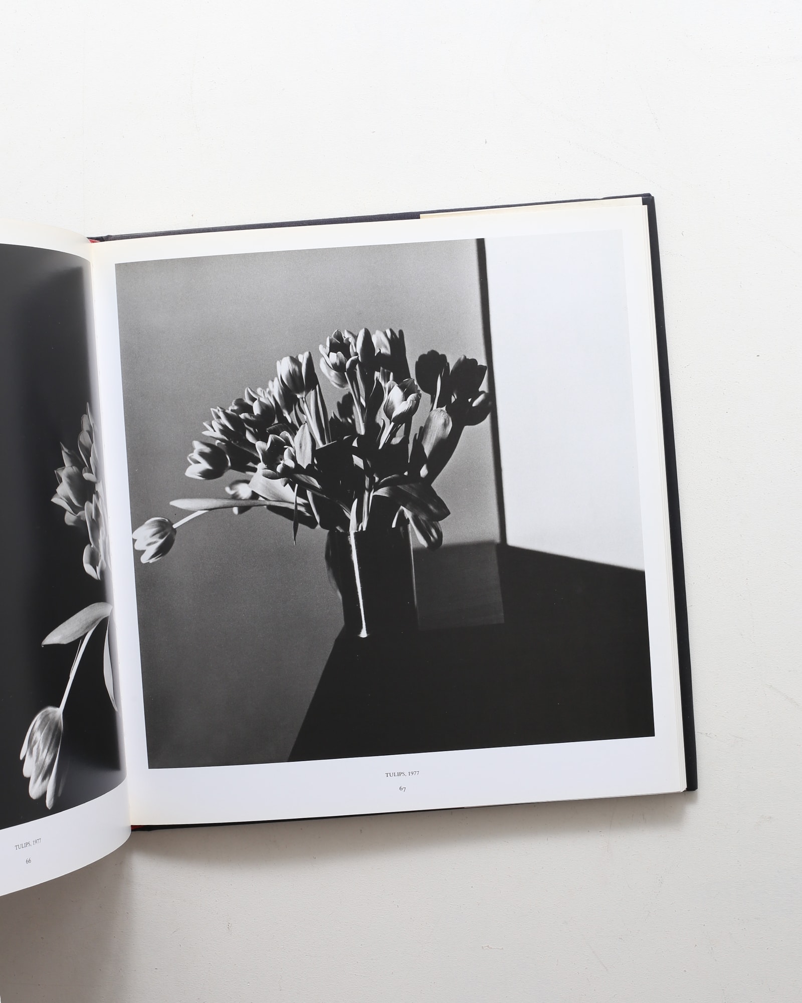 Altars | Robert Mapplethorpe | nostos books ノストスブックス