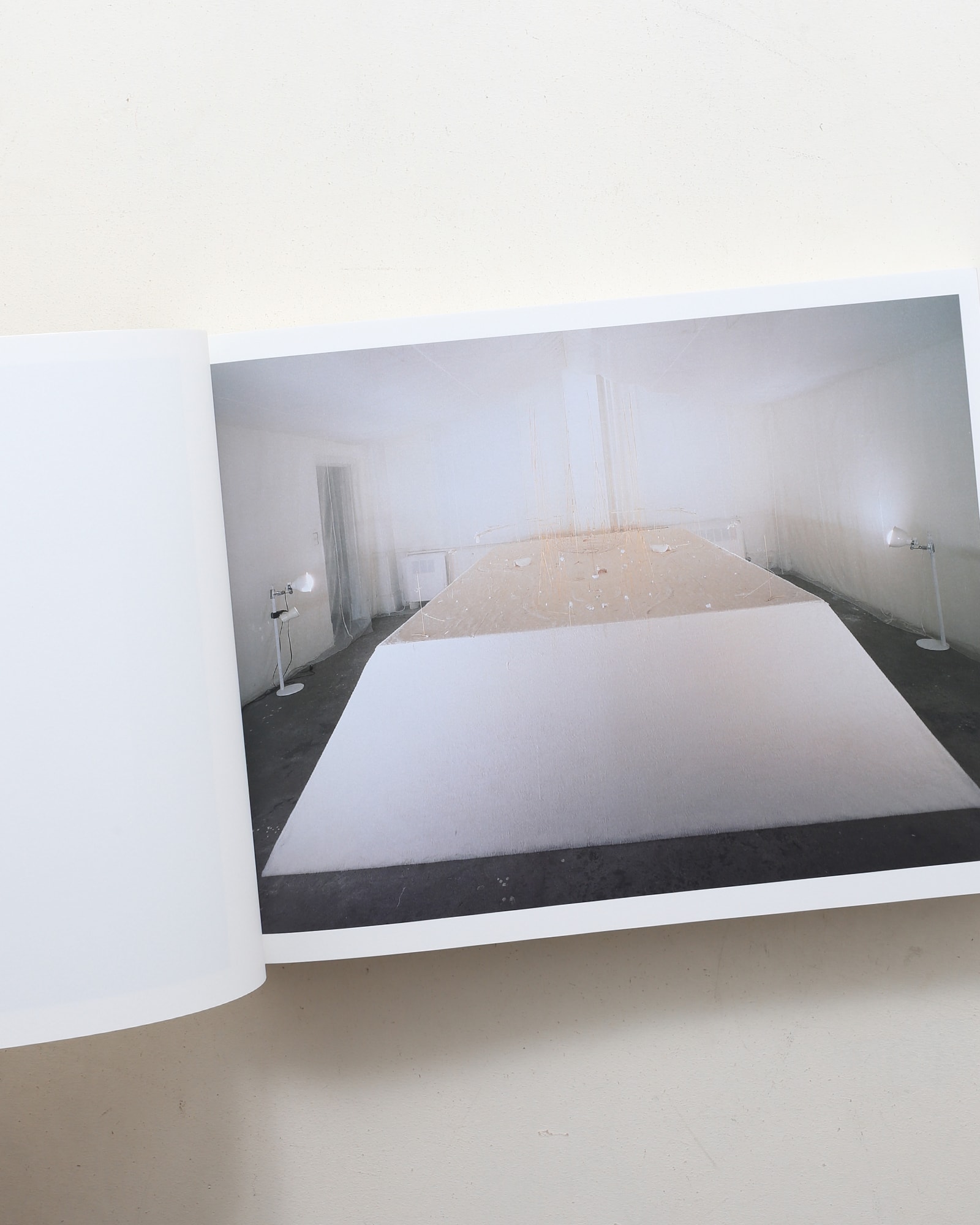 内藤礼 1985–2015 祝福 | nostos books ノストスブックス